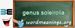 WordMeaning blackboard for genus soleirolia